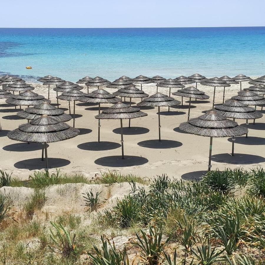 Narcissos Nissi Beach Apartment C16 Ajia Napa Zewnętrze zdjęcie